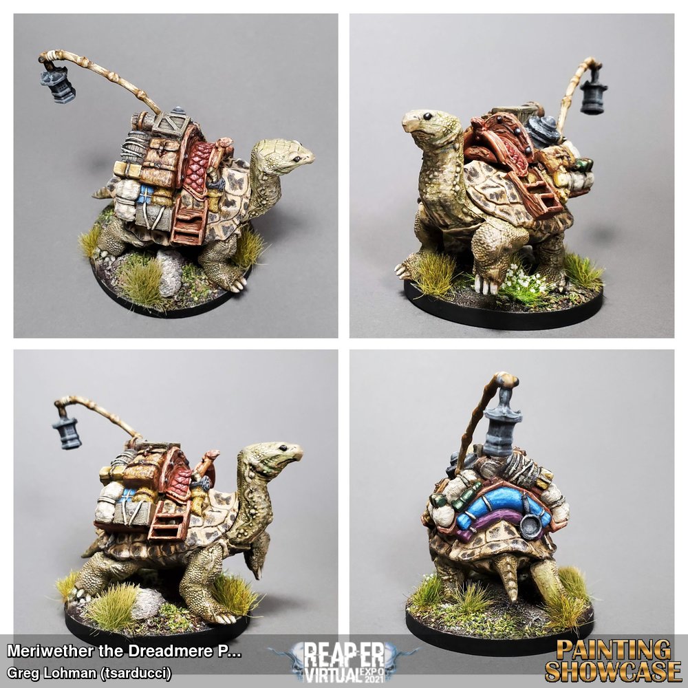 Dreadmere tortoise, painted with my dear little russian tort for reference.